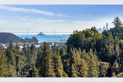 15 Tamalpais Avenue, Mill Valley, CA 94941 - Photo 5