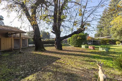 101 Bailhache Avenue, Healdsburg, CA 95448 - Photo 7