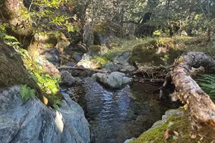 [Address not provided], Laytonville, CA 95454 - Photo 23