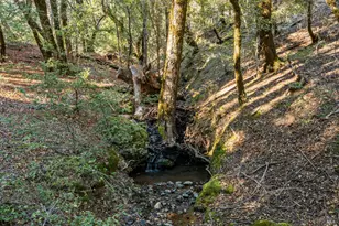 [Address not provided], Laytonville, CA 95454 - Photo 33