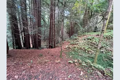 1355 Nicasio Valley Road, Nicasio, CA 94946 - Photo 19