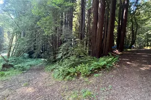 1355 Nicasio Valley Rd, Nicasio, CA 94946 - Photo 3