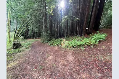 1355 Nicasio Valley Road, Nicasio, CA 94946 - Photo 9