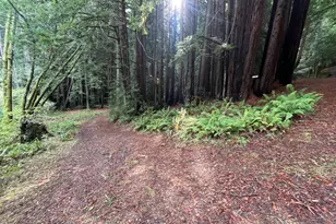 1355 Nicasio Valley Rd, Nicasio, CA 94946 - Photo 9