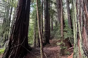 1355 Nicasio Valley Rd, Nicasio, CA 94946 - Photo 23