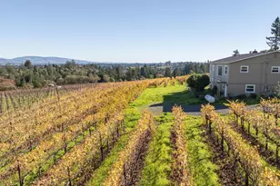 1365 Grandview Rd, Sebastopol, CA 95472 - Photo 41