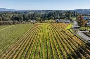 1365 Grandview Rd, Sebastopol, CA 95472 - Photo 71