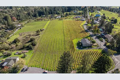 1365 Grandview Road, Sebastopol, CA 95472 - Photo 3