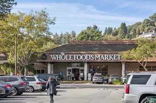 93 Ashford Ave, Mill Valley, CA 94941 - Photo 63