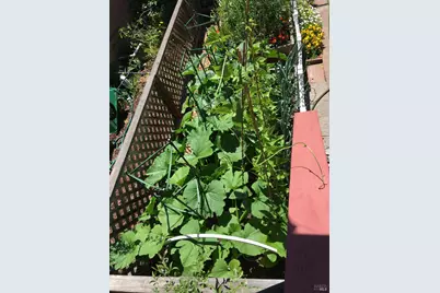 6781 Evergreen Avenue, Sebastopol, CA 95472 - Photo 33