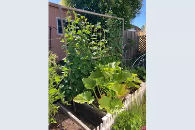 6781 Evergreen Avenue, Sebastopol, CA 95472 - Photo 31