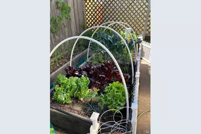 6781 Evergreen Avenue, Sebastopol, CA 95472 - Photo 29