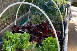 6781 Evergreen Ave, Sebastopol, CA 95472 - Photo 29