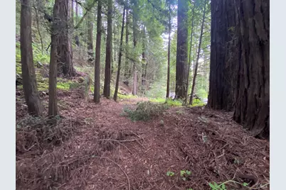 925 Cazadero Highway, Cazadero, CA 95421 - Photo 3