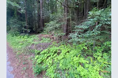 925 Cazadero Highway, Cazadero, CA 95421 - Photo 1