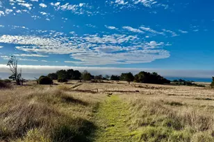 13500 Point Cabrillo Dr, Mendocino, CA 95460 - Photo 21