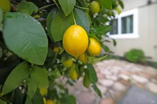 7103 Overlook Dr, Santa Rosa, CA 95409 - Photo 45