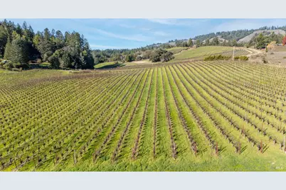 2300 Guntley Road, Philo, CA 95466 - Photo 11