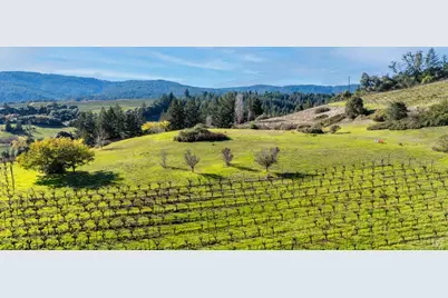 2300 Guntley Road, Philo, CA 95466 - Photo 3