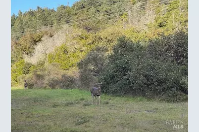 237 Badger, The Sea Ranch, CA 95497 - Photo 11