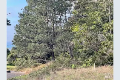 237 Badger, The Sea Ranch, CA 95497 - Photo 9