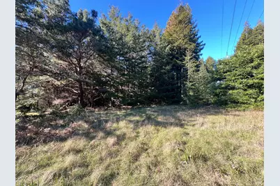 237 Badger, The Sea Ranch, CA 95497 - Photo 9