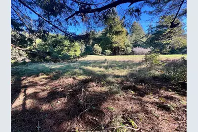 237 Badger, The Sea Ranch, CA 95497 - Photo 7