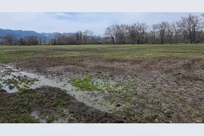 75589 Covelo Road, Covelo, CA 95428 - Photo 11