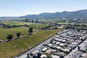 180 Sherry Cir, Yountville, CA 94599 - Photo 15