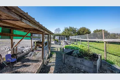 146 Shelina Vista Lane, Petaluma, CA 94952 - Photo 77