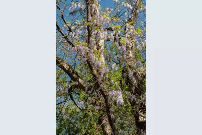 [Address not provided], Forestville, CA 95436 - Photo 13