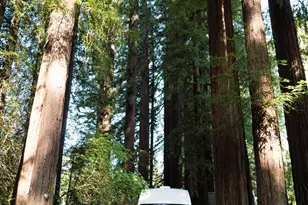 [Address not provided], Forestville, CA 95436 - Photo 11