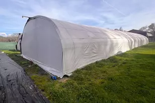 78951 Zenia Rd, Covelo, CA 95428 - Photo 33