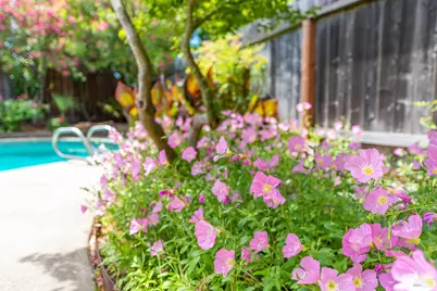 2454 Dunaway Drive, Santa Rosa, CA 95403 - Photo 5