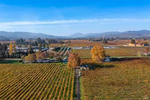 1135 Galleron Rd, Saint Helena, CA 94574 - Photo 13