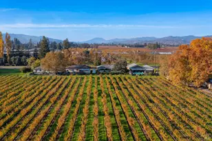 1135 Galleron Rd, Saint Helena, CA 94574 - Photo 17