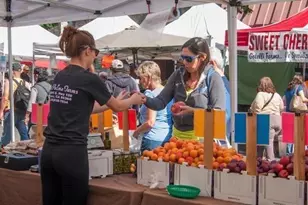 927 Carolina St, Vallejo, CA 94590 - Photo 27