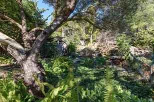 36 Shannon Ct, Novato, CA 94949 - Photo 27