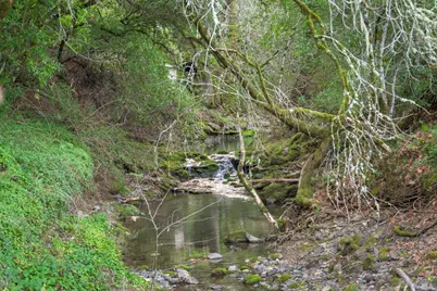 9200 Bennett Valley Road, Glen Ellen, CA 95442 - Photo 27