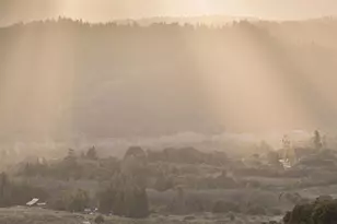 17350 Deer Meadows Rd, Boonville, CA 95415 - Photo 65