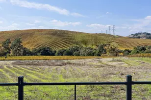 1301 Duhig Rd, Napa, CA 94559 - Photo 55