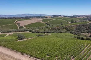 3545 Bloomfield Rd, Sebastopol, CA 95472 - Photo 5