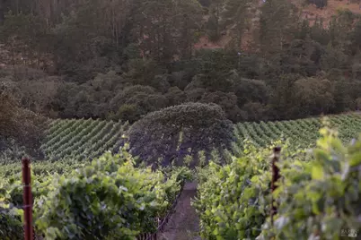 3545 Bloomfield Road, Sebastopol, CA 95472 - Photo 7