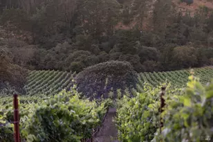 3545 Bloomfield Rd, Sebastopol, CA 95472 - Photo 7