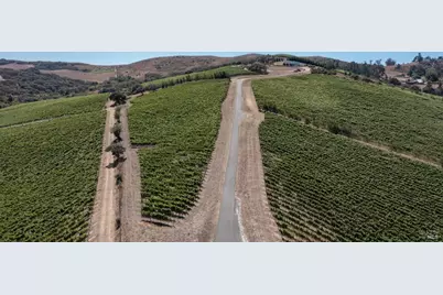 3545 Bloomfield Road, Sebastopol, CA 95472 - Photo 9