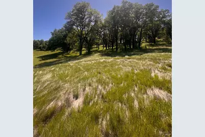 23040 Poonkinney Road, Covelo, CA 95428 - Photo 13