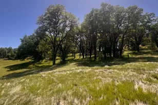 23040 Poonkinney Rd, Covelo, CA 95428 - Photo 13