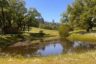 23040 Poonkinney Rd, Covelo, CA 95428 - Photo 5