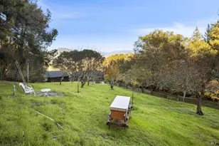 42 Grove St, San Rafael, CA 94901 - Photo 49