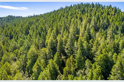 0 16125 Honey Ridge Road, Boonville, CA 95415 - Photo 5